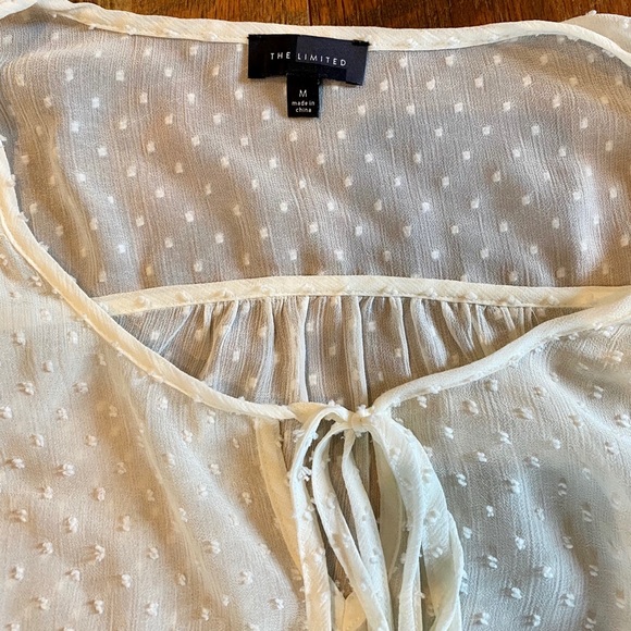 THE LIMITED Ivory Sheer Swiss Dot Blouse - Picture 3 of 5